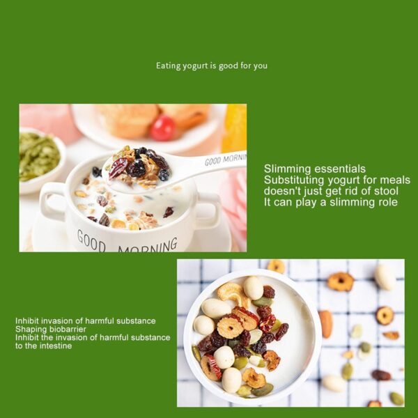 Yogurt Maker Machine, French and Greek Yogurt Maker, 15W Stainless Steel Yoghurt Maker for Home Organic Yogurt, Cheese Maker, Natto Maker, Gifts (US)