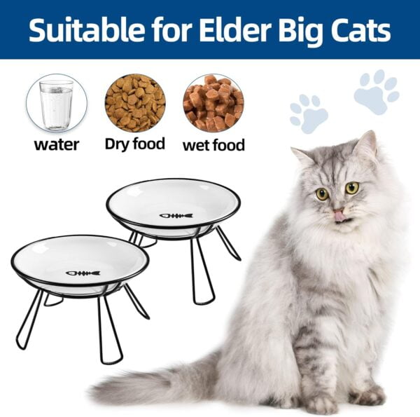 71Z4blDfDnL._AC_SL1500 Cat Bowls, Elevated Cat Bowl, Raised Ceramic Cat Dish with Metal Stand, Pet Water or Food Feeding Station for Indoor Cats, Kitten, Puppies and Small Dogs(2 Pack)