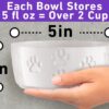 71ZeqiKawiL._AC_SL1500 Ceramic Dog Bowl Set with Anti-Slip Rings – 5″ Round x 2″ Tall Set of 2 Ceramic Dog Bowls for Small Dogs – Small Dog Bowls – Dog Food and Water Bowl – White Dog Food Bowls – Dog Bowls Small Size Dog