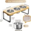 Elevated Cat Bowls with 3 Stainless Steel Bowls | 10° Tilted Anti-Vomiting Raised Cat Food Bowls for Small Cats and Puppies Pet Bowls with Stand