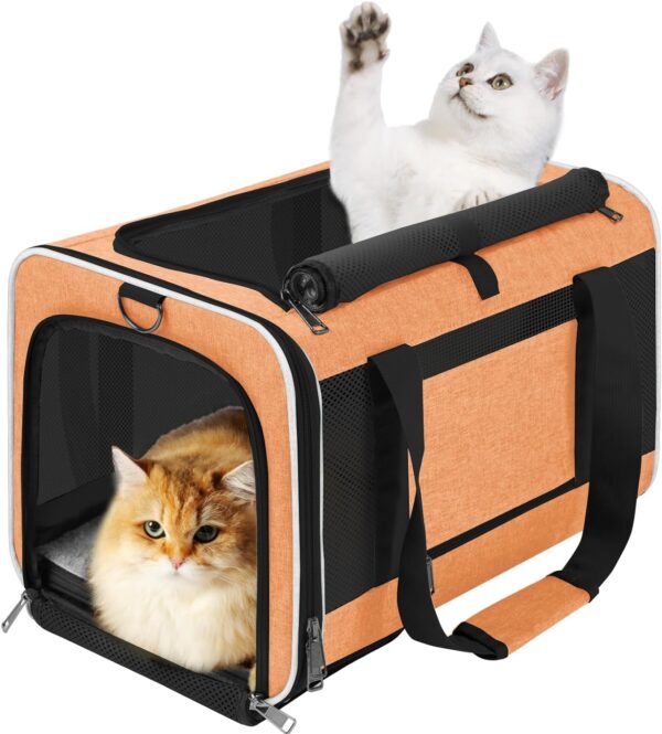 71bkJkM3f3L._AC_SL1500 Pet Carrier for Large Cats 20 lbs+ / Soft Sided Small Dog Travel Carrier Top Load/Collapsible Carrier Bag for Big Cat / 2 Kittens Sturdy Transport Carrier Long Trips/Medium Cats 15 pounds