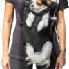71cbyFpI78L._AC_SL1500 Pet Adjustable Dog Carrier Backpacks, Hiking Travel Backpack, Puppy Backpack, Dog Front Carrier
