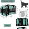 Cat Carrying Case Pet Dog Carrier Soft-Sided Cat Bag Airline Approved, Pet Travel Carrier Up to 15 Lbs, Collapsible Cat Carrier Dog Carrier for Medium Cats Small Cats Dogs(17x11x11 green)