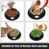 2Pcs Cat Bowls Non-Slip Stainless Steel Small Cat Food Bowls Unbreakable Thicken Cat Feeder 7 Oz Cat Dishes Suitable for Indoor Small Pets Removable Rubber Base Easily Clean Lovely Color