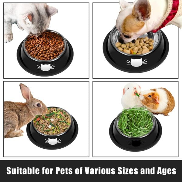 2Pcs Cat Bowls Non-Slip Stainless Steel Small Cat Food Bowls Unbreakable Thicken Cat Feeder 7 Oz Cat Dishes Suitable for Indoor Small Pets Removable Rubber Base Easily Clean Lovely Color
