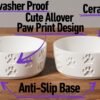 Ceramic Dog Bowl Set with Anti-Slip Rings – 5″ Round x 2″ Tall Set of 2 Ceramic Dog Bowls for Small Dogs – Small Dog Bowls – Dog Food and Water Bowl – White Dog Food Bowls – Dog Bowls Small Size Dog