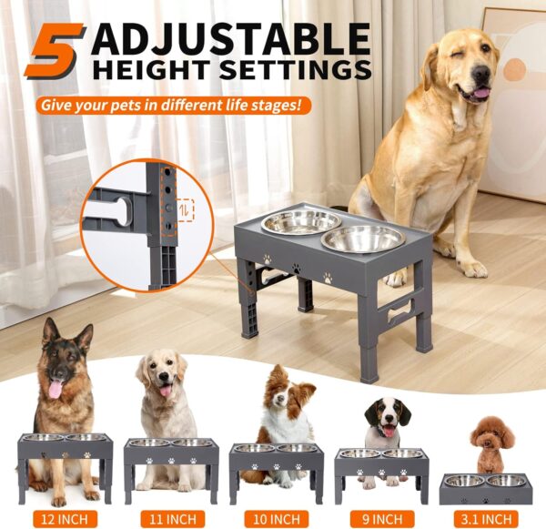 71uu-_GVFgL._AC_SL1500 Elevated Dog Bowls – The Perfect Feeding Solution for Dogs
