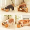71xnwca5dML._AC_SL1500 FOREYY Raised Pet bowls for Cats and Small Dogs, Bamboo Elevated Dog Cat Food and Water Bowls Stand Feeder with 2 Stainless Steel Bowls and Anti Slip Feet (4” Tall-20 oz bowl)