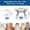 Cat Bowls, Elevated Cat Bowl, Raised Ceramic Cat Dish with Metal Stand, Pet Water or Food Feeding Station for Indoor Cats, Kitten, Puppies and Small Dogs(2 Pack)