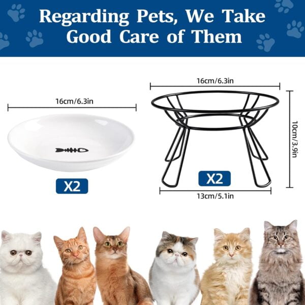 71zVHnTTU3L._AC_SL1500 Cat Bowls, Elevated Cat Bowl, Raised Ceramic Cat Dish with Metal Stand, Pet Water or Food Feeding Station for Indoor Cats, Kitten, Puppies and Small Dogs(2 Pack)
