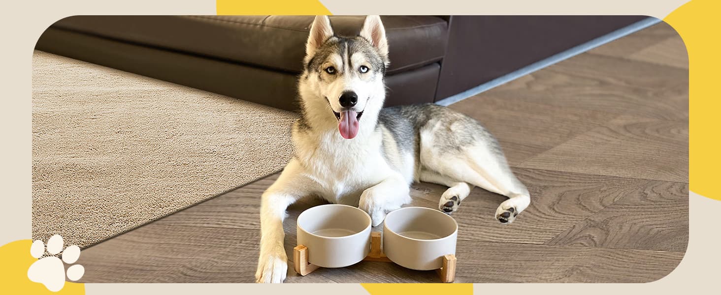 Medium Sized Dog Bowl