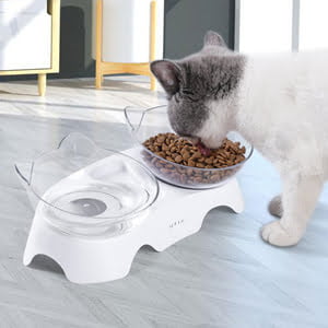 Pet Feeding Bowl for Cats and Small Dogs