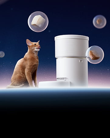 automatic pet feeder for sealing