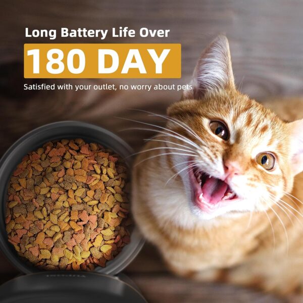 812SxKCvkjL._AC_SL1500 Automatic Cat Feeders – 2L Cat Food Dispenser Easy to Use, Timed Automatic Pet Feeder with Over 180-day Battery Life, 1-6 Meals Dry Food Programmable Portion Control Also for Dogs