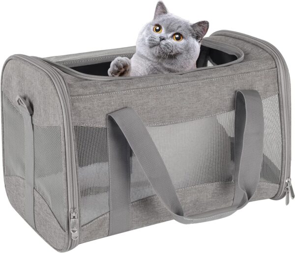 Cat Carrying Case Pet Dog Carrier Soft-Sided Cat Bag Airline Approved, Pet Travel Carrier Up to 15 Lbs, Collapsible Cat Carrier Dog Carrier for Medium Cats Small Cats Dogs(17x11x11 green)