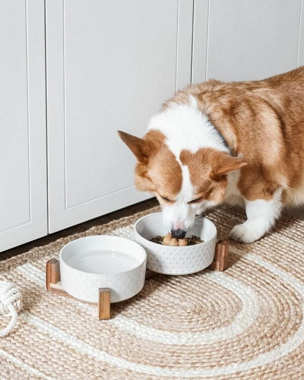 81HeSyI31KL._AC_SL1500 LE TAUCI Dog Bowls Ceramic, Bowl Set with Acacia Wood Stand, 3 Cups Dog Food and Water Bowl for Small Medium Sized, Weighted Dog, Pet Bowls