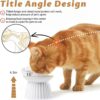 81IEcbu6BaL._AC_SL1500 Ceramic Raised Cat Bowl,Tilted Raised Cat Bowl Anti Vomit Cat Bowls for Indoor Cats Whisker Friendly Pet Feeder for Cats Puppies, Microwave and Dishwasher Safe