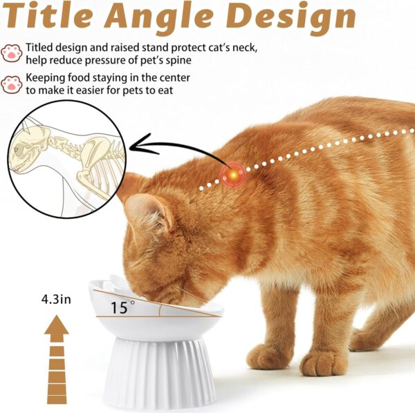 81IEcbu6BaL._AC_SL1500 Ceramic Raised Cat Bowl,Tilted Raised Cat Bowl Anti Vomit Cat Bowls for Indoor Cats Whisker Friendly Pet Feeder for Cats Puppies, Microwave and Dishwasher Safe