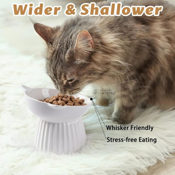 81J-xm1sxbL._AC_SL1500 Ceramic Raised Cat Bowl,Tilted Raised Cat Bowl Anti Vomit Cat Bowls for Indoor Cats Whisker Friendly Pet Feeder for Cats Puppies, Microwave and Dishwasher Safe