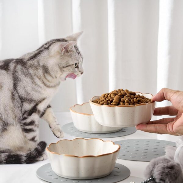 81SHEl0cDqL._AC_SL1500 SIDUCAL Cat Bowls – 3 Pieces Cat Food Bowl Cat Dishes with Silicone Non-Slip Mats, 5 Inches Cat Bowls for Indoor Cats, Ceramic Cat Food and Water Bowl Set Gift for Pet Lovers – White