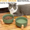 81SOD3ZYWQL._AC_SL1500 Ptlom Ceramic Pet Bowls for Dog and Cat, No Spill Dog Food and Water Bowl Set with Anti-Slip Wooden Stand, Riased Puppy Feeding Dishes Suitable for Small, Medium and Large Cats Dogs, Green 28 OZ