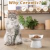 81_klF4JtAL._AC_SL1500 Ceramic Raised Cat Bowl,Tilted Raised Cat Bowl Anti Vomit Cat Bowls for Indoor Cats Whisker Friendly Pet Feeder for Cats Puppies, Microwave and Dishwasher Safe