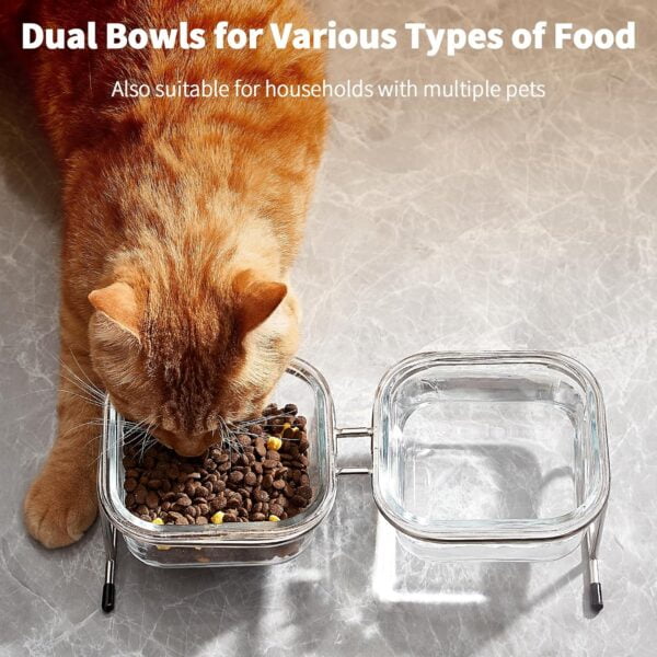 81br-UOrWXL._AC_SL1500 Elevated Cat Bowls, 15° Tilted Glass Raised Cat Food Bowl with Stainless Steel Stand, 2 Large Capacity Glass Cat Bowls and 4 Anti Slip Feet, Suitable for Cats and Little Dogs