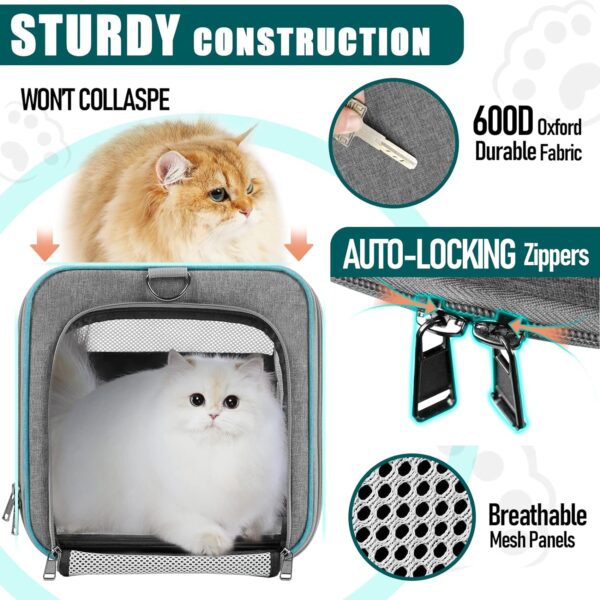 81jLlpazOFL._AC_SL1500 Pet Carrier for Large Cats 20 lbs+ / Soft Sided Small Dog Travel Carrier Top Load/Collapsible Carrier Bag for Big Cat / 2 Kittens Sturdy Transport Carrier Long Trips/Medium Cats 15 pounds