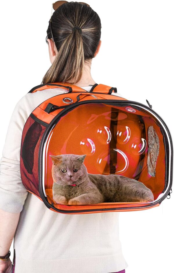 81mYOtgwNfL._AC_SL1500 Pet Carrier Backpack, cat Carrier Bag, cat Dog Carrier Bag, Bird Carrier Bag, Backpack Carrier with Foldable Shoulder Strap, Designed for Cats and Puppies, Airline Approved, Travel, Hiking (Yellow)