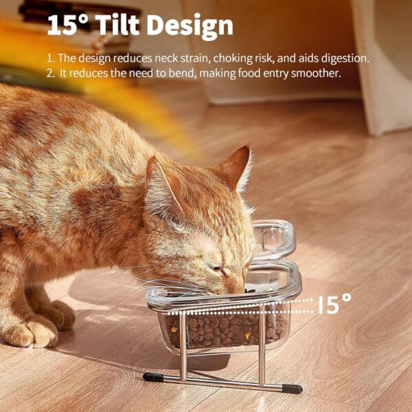 81oKiotcz4L._AC_SL1500 Elevated Cat Bowls, 15° Tilted Glass Raised Cat Food Bowl with Stainless Steel Stand, 2 Large Capacity Glass Cat Bowls and 4 Anti Slip Feet, Suitable for Cats and Little Dogs