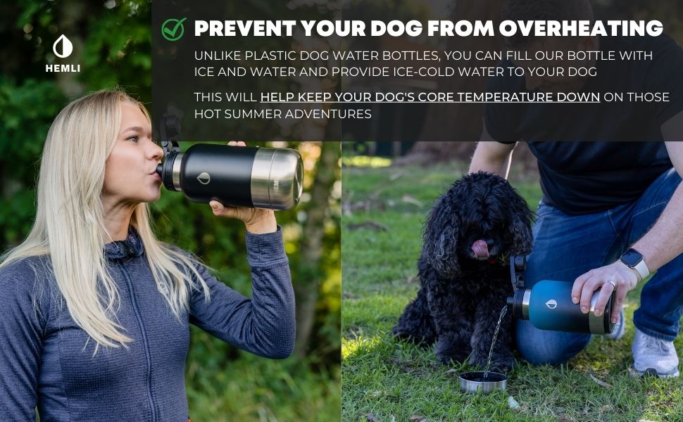 doggy water bottle