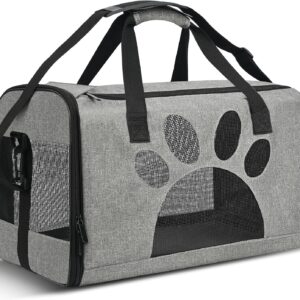 Airline-Approved Soft Pet Carrier