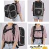 91W8y55mR3L._AC_SL1500 Apollo Walker Pet Carrier Backpack for Large/Small Cats and Dogs, Puppies, Safety Features and Cushion Back Support | for Travel, Hiking, Outdoor Use (Gray)