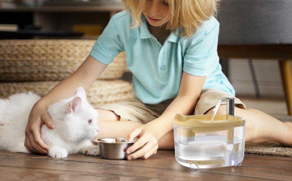 cat water fountain
