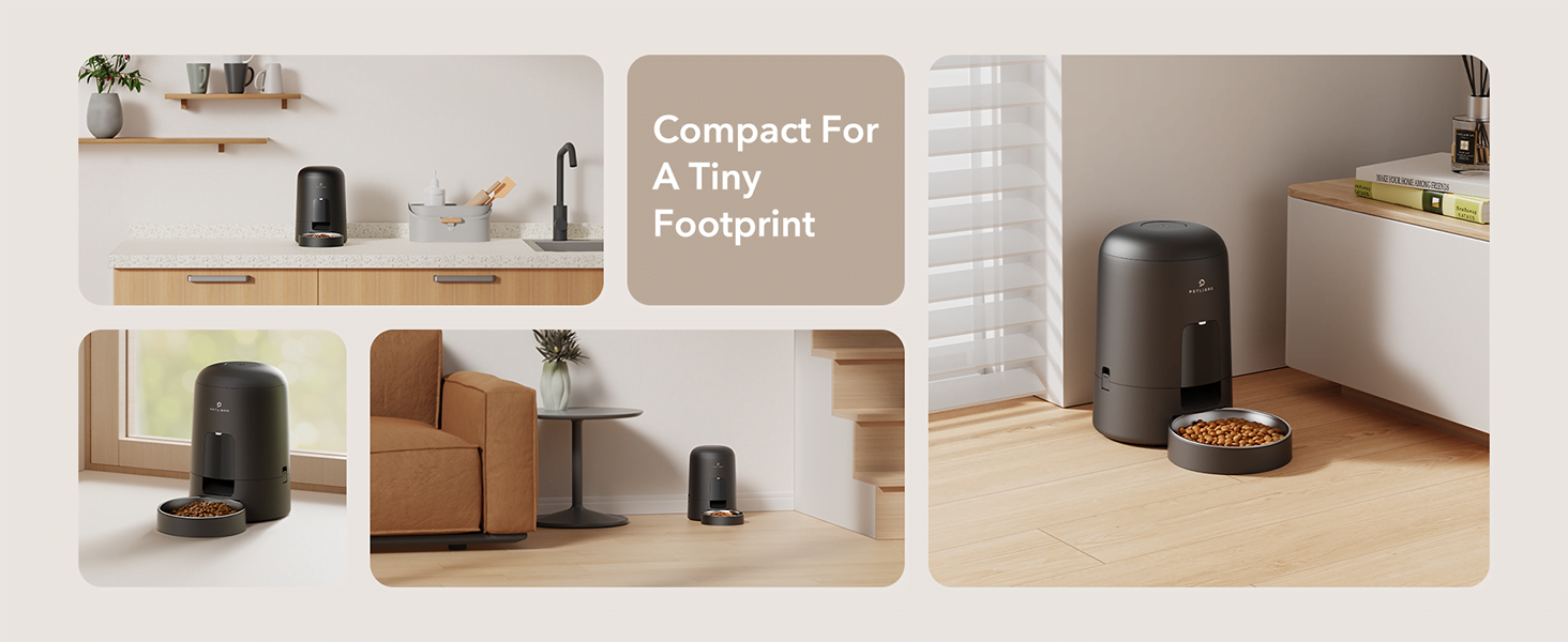 automatic cat feeder