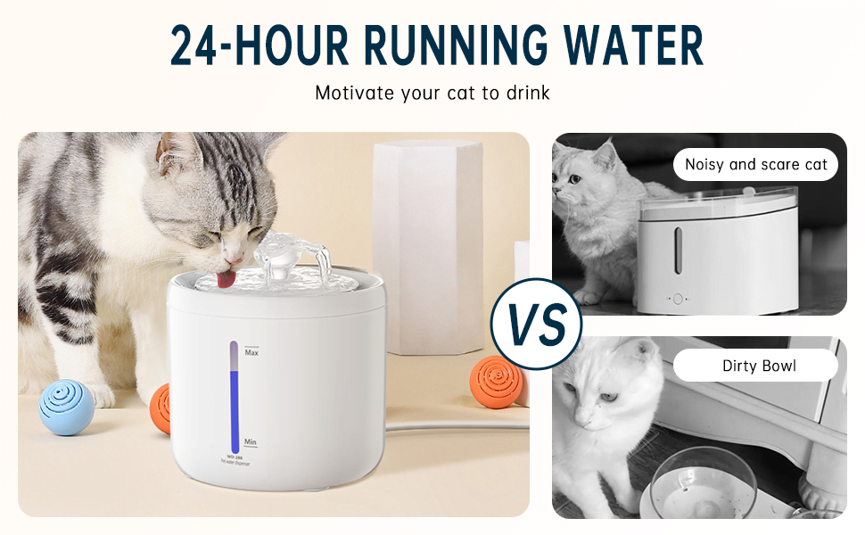 water fountain for cats