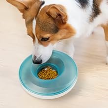 Slow Feeder Dog Bowl