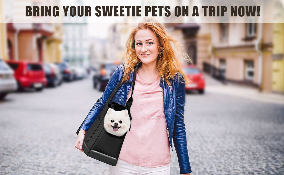 Pet Carrier Tote