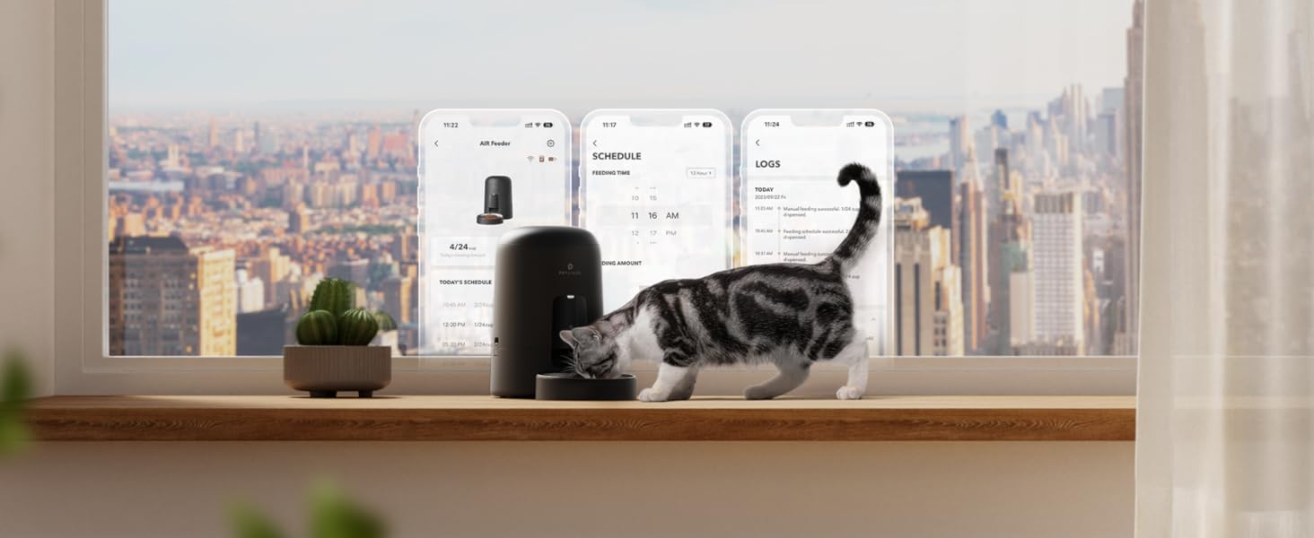 automatic cat feeder