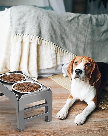 dog bowl stand