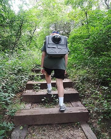 pet transport backpack