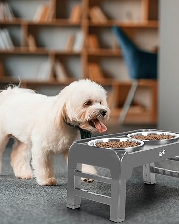 raised dog bowls