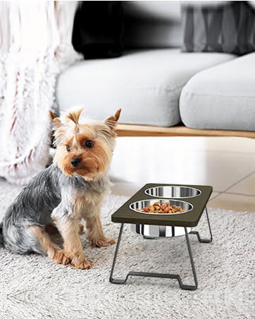 dog bowls with small size dog