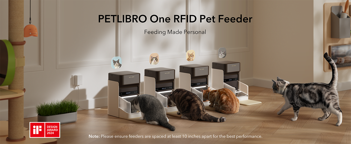 automatic cat feeder