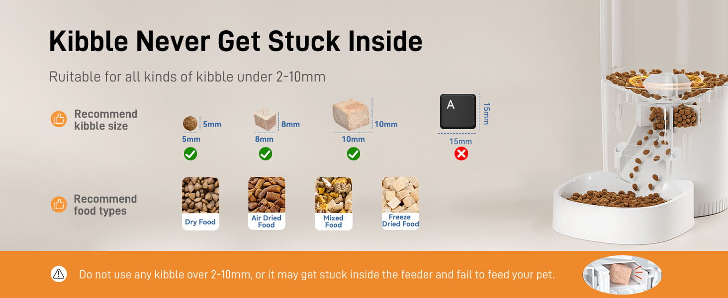 automatic cat feeder