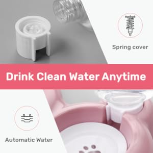 Automatic Water Dispenser