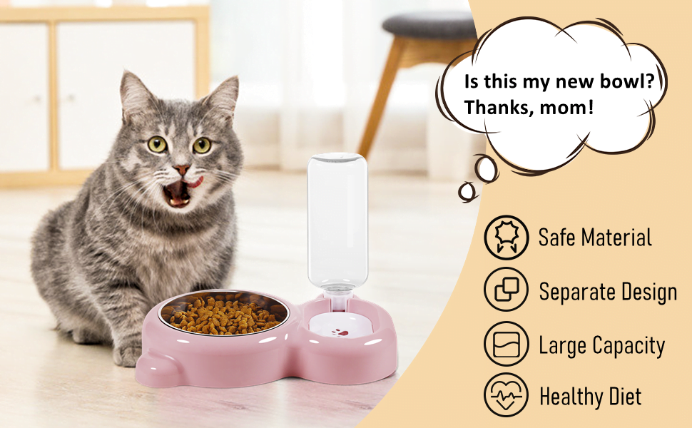 cat bowls