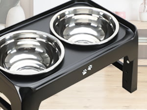 dog bowls for medium dogs