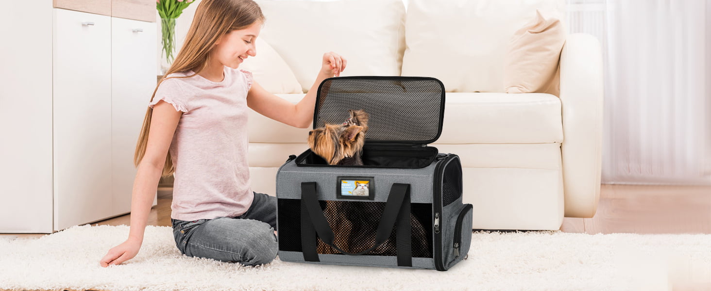 pet carrier