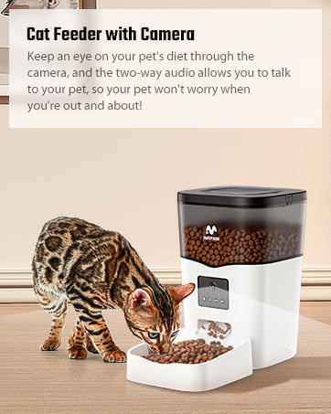 automatic cat feeder with camera